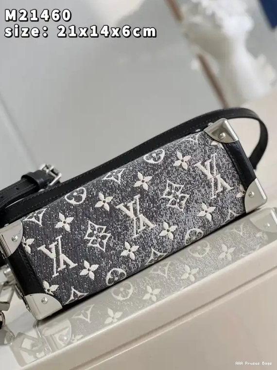 AAA Pruses Bags SIDE TRUNK LOUIS MM VUITTON 0613